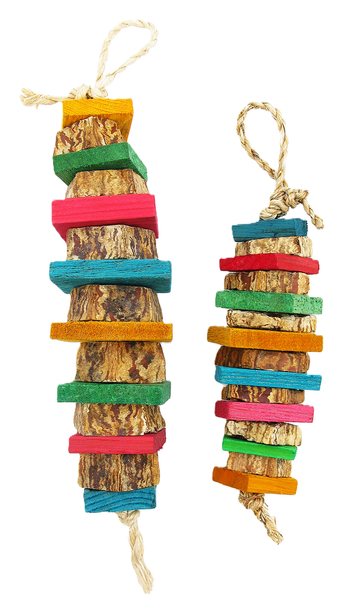 Rugby – Aviary Bird Shop