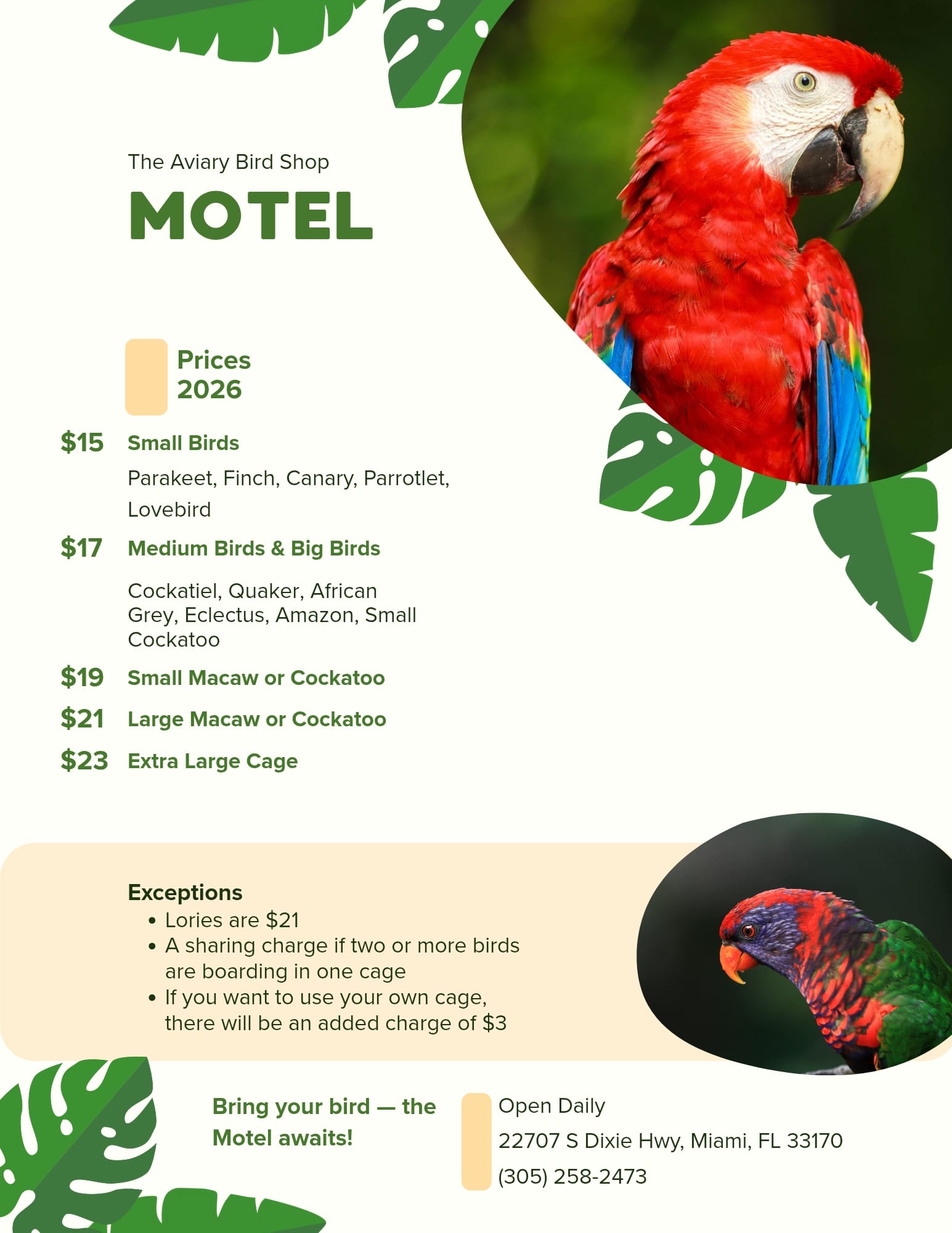 Tweety Motel Reservations – Aviary Bird Shop