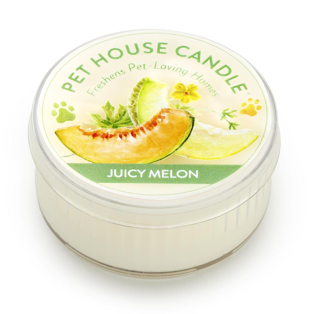 Juicy Melon Mini Pet House Candle