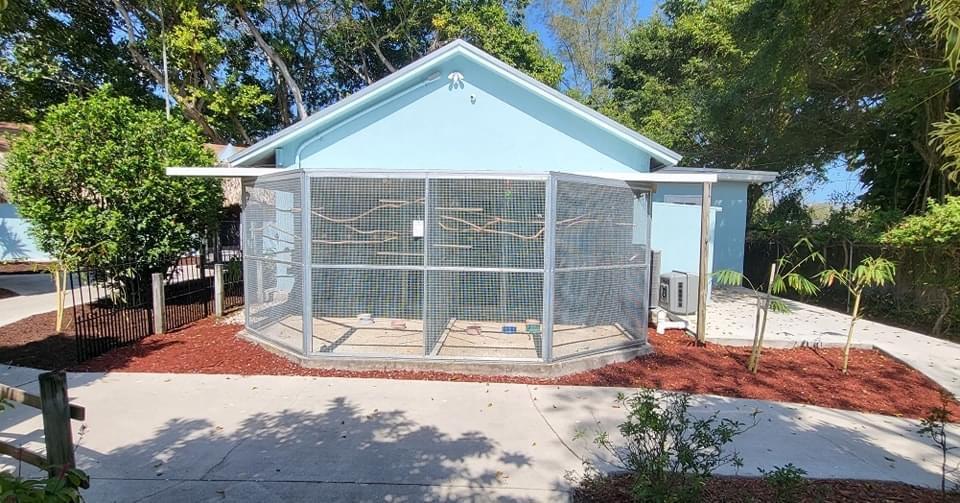 Aviary bird shop Clearance